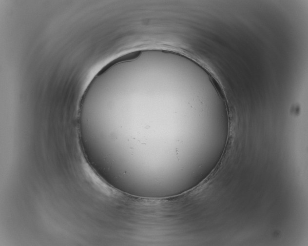 X0000111171532200907010955