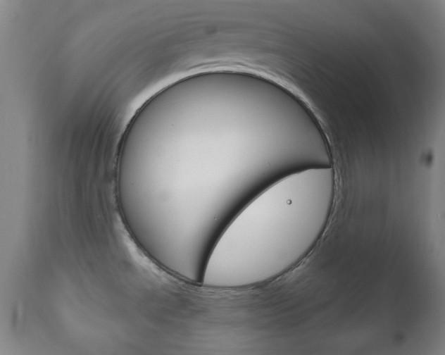 X0000111171534200907010955