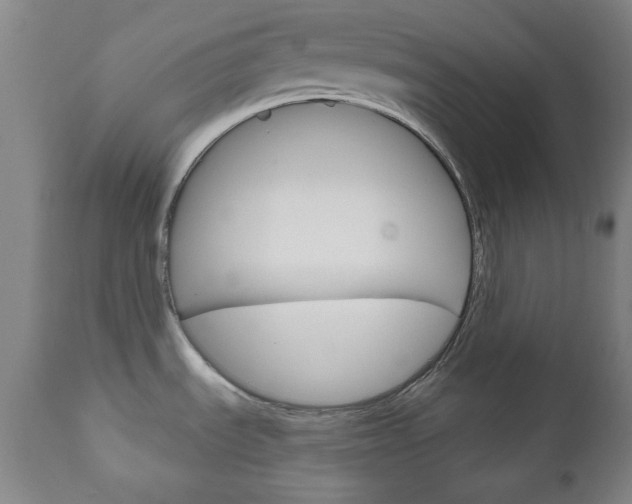 X0000111171535200907010955
