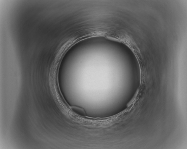 X0000111170001200907011359