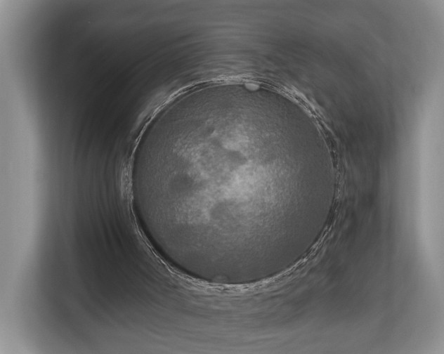 X0000111170002200907011359