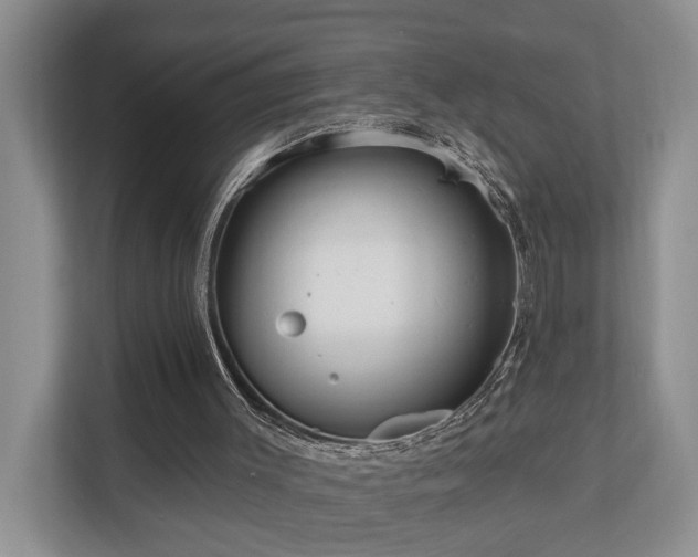 X0000111170003200907011359