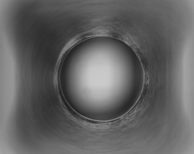 X0000111170004200907011359