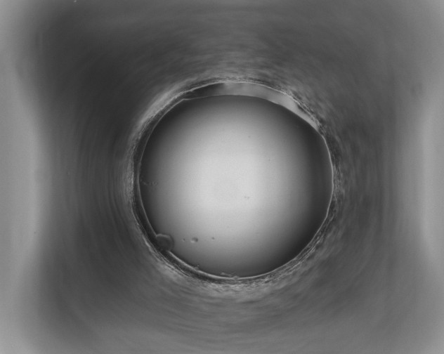 X0000111170005200907011359