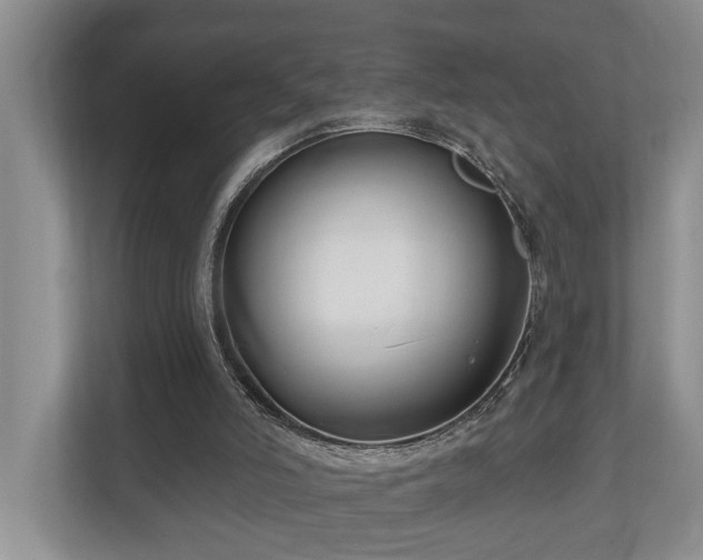 X0000111170006200907011359