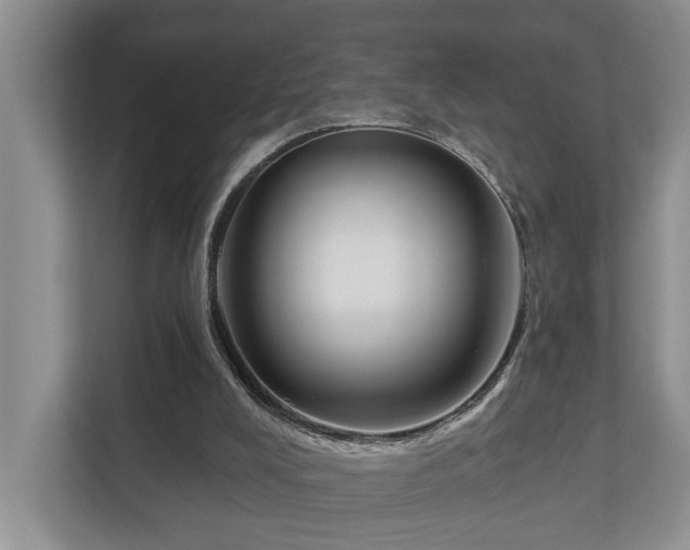 X0000111170008200907011358