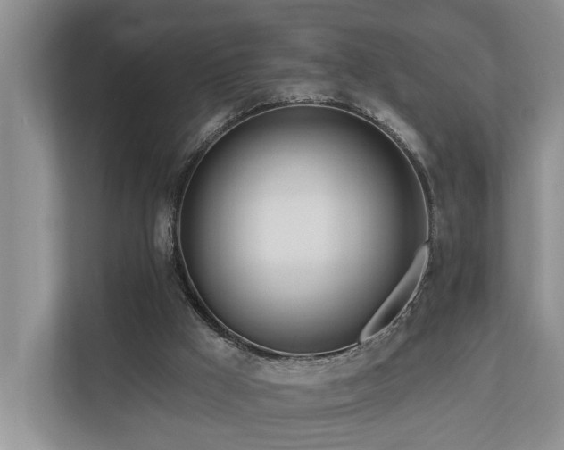 X0000111170009200907011358