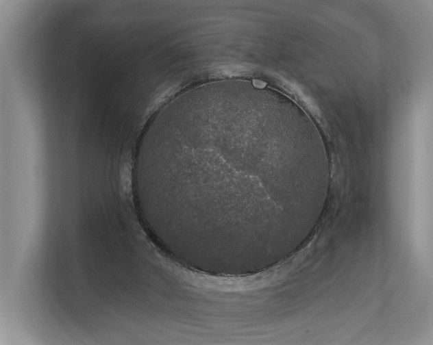 X0000111170010200907011358