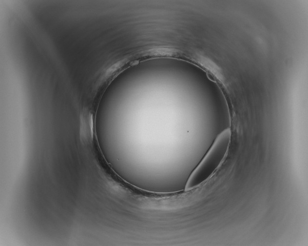 X0000111170013200907011358