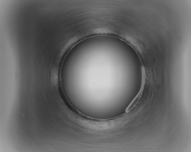 X0000111170015200907011358