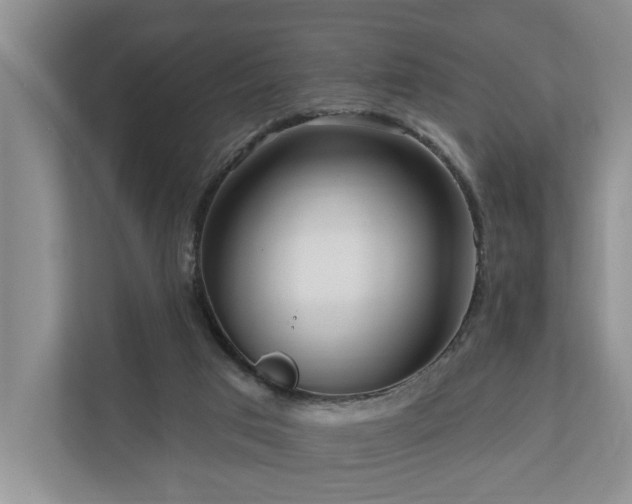 X0000111170017200907011358