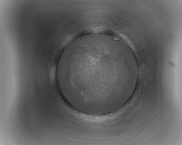 X0000111170018200907011358