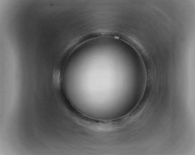 X0000111170024200907011358