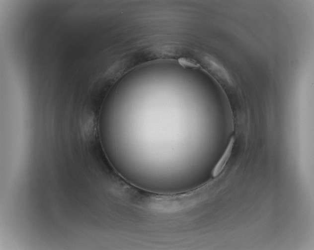 X0000111170029200907011358