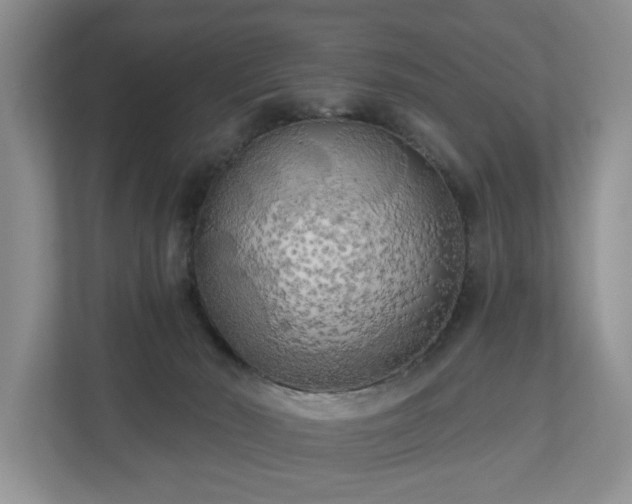 X0000111170030200907011358