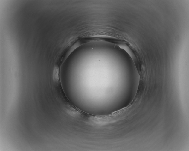 X0000111170041200907011358