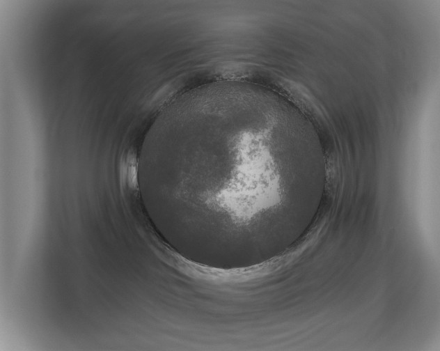 X0000111170046200907011358