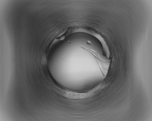 X0000111170048200907011358