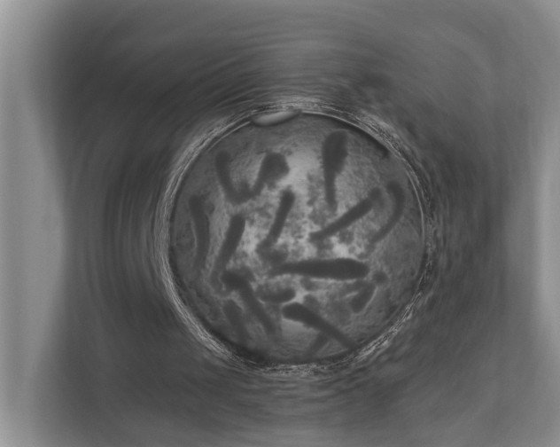 X0000111170049200907011357