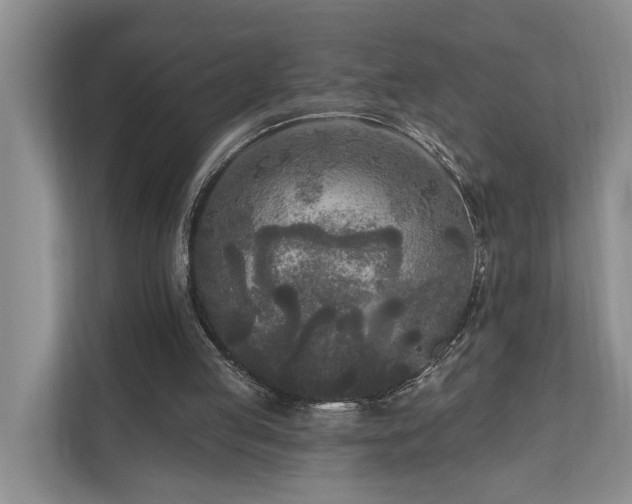 X0000111170053200907011357