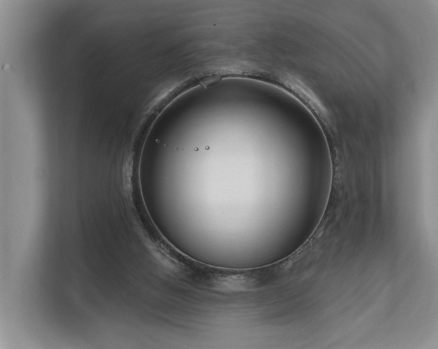 X0000111170058200907011357