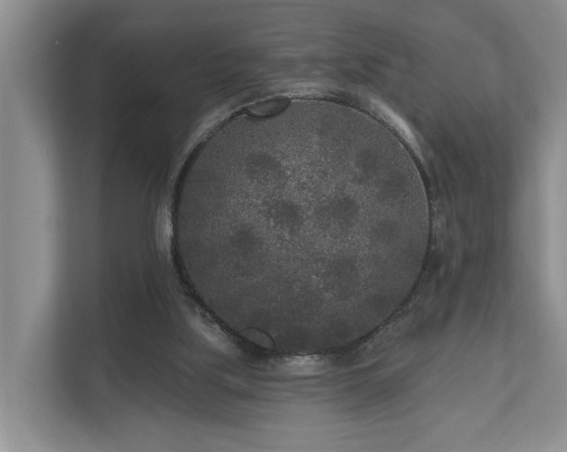 X0000111170059200907011357