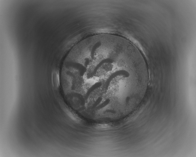 X0000111170061200907011358