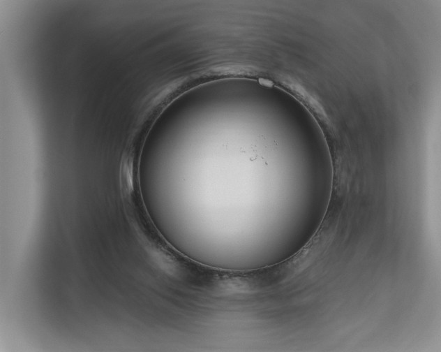 X0000111170062200907011358