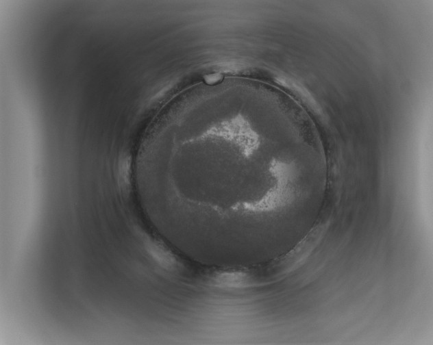 X0000111170066200907011358