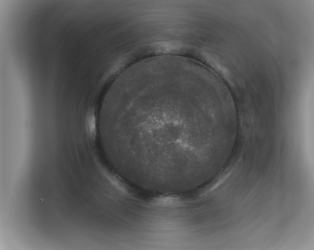 X0000111170067200907011358