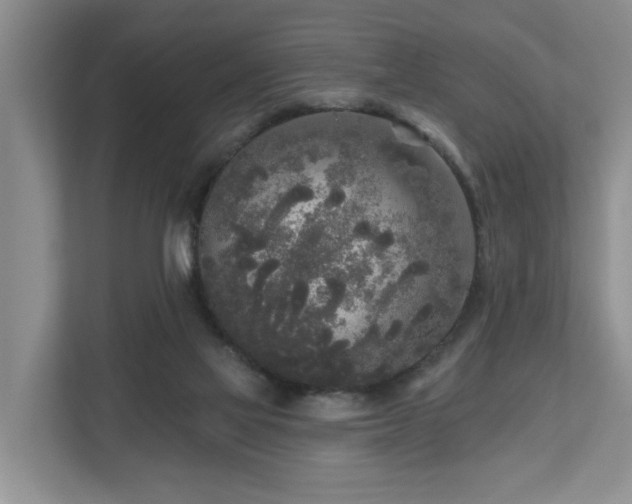 X0000111170069200907011358