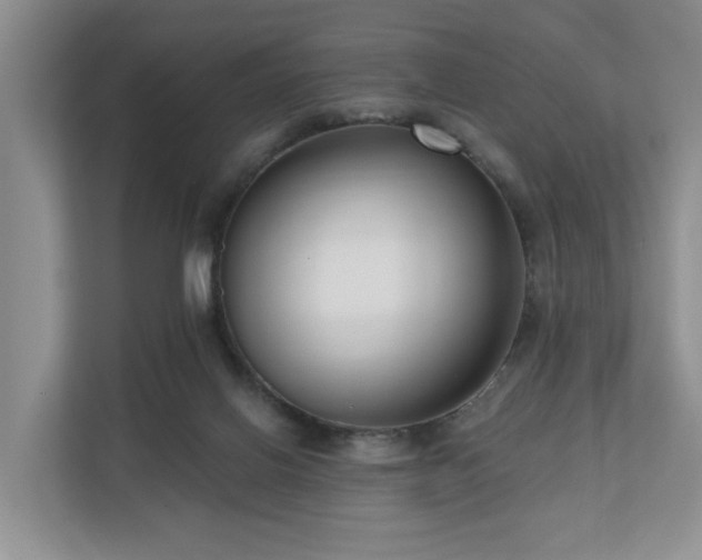 X0000111170070200907011358