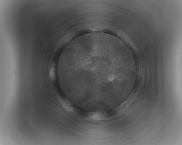 X0000111170074200907011358