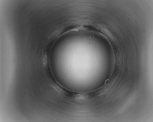 X0000111170077200907011358