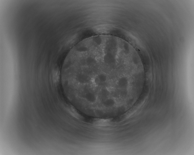 X0000111170081200907011358