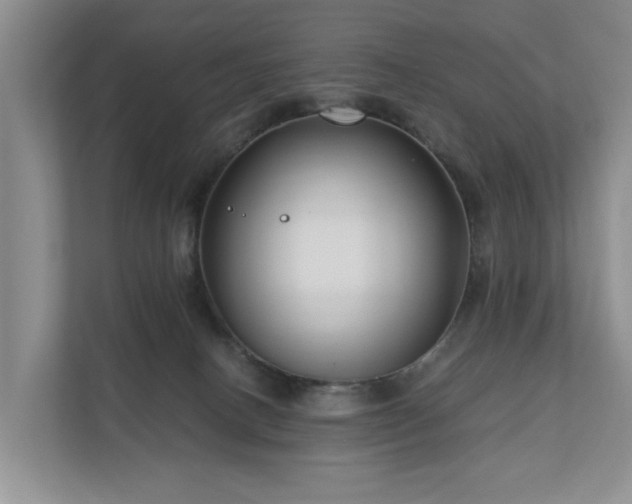 X0000111170082200907011358