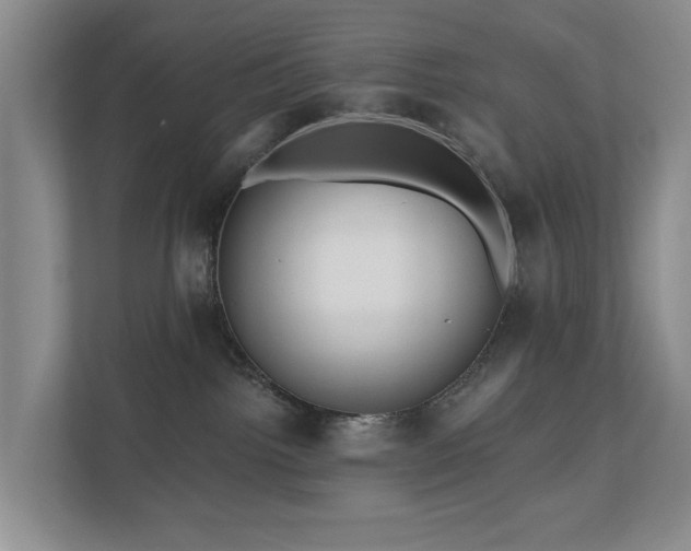 X0000111170092200907011358