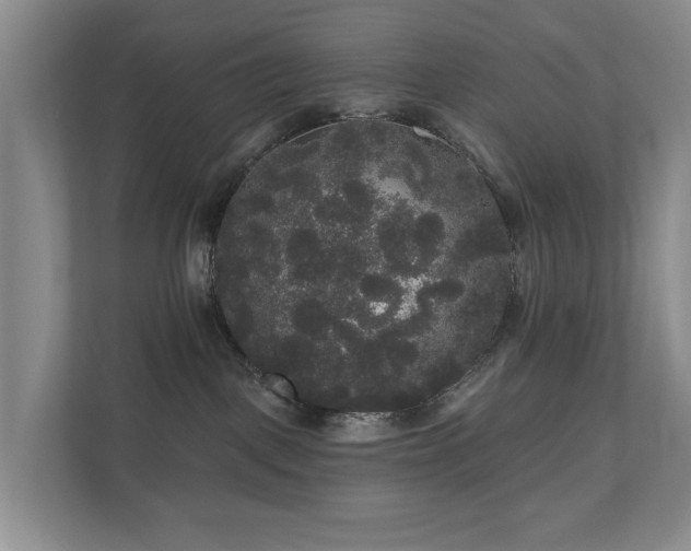 X0000111170093200907011358