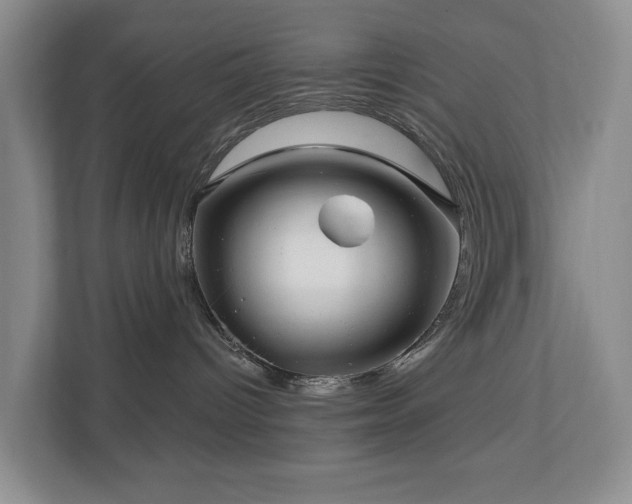 X0000111170096200907011358