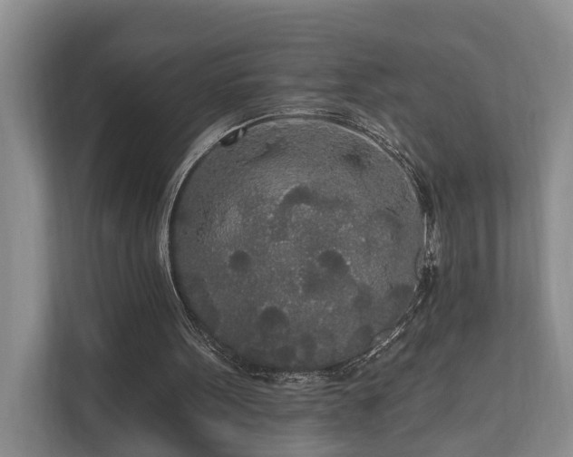 X0000111170099200907011357