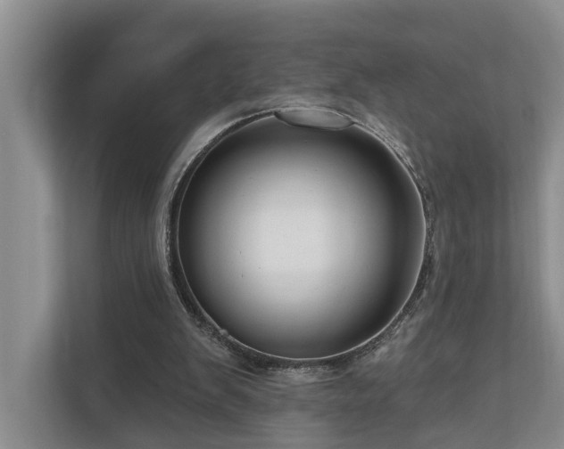 X0000111170103200907011357