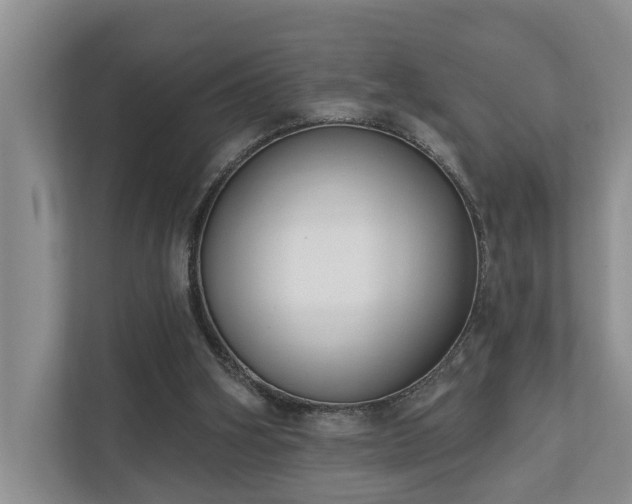 X0000111170106200907011357