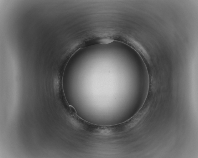 X0000111170113200907011357