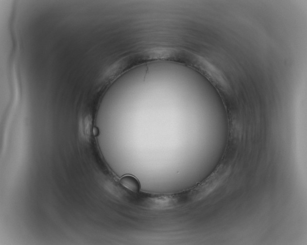 X0000111170118200907011357