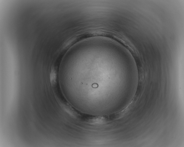 X0000111170124200907011357