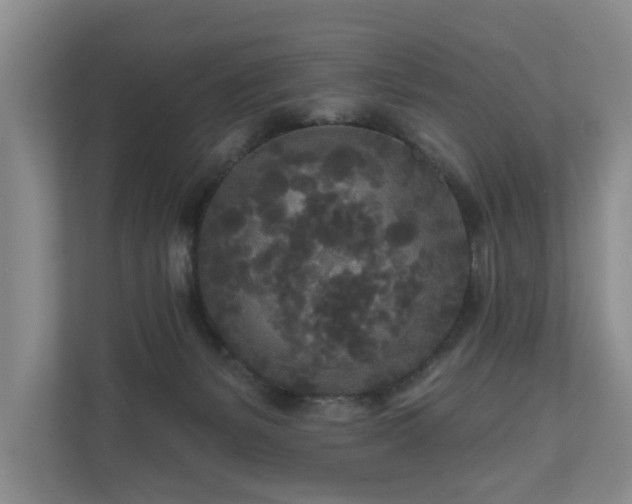 X0000111170127200907011357