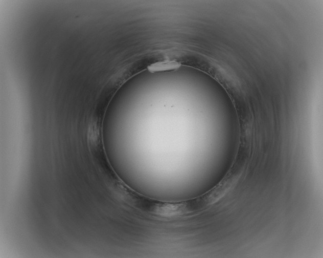 X0000111170129200907011357