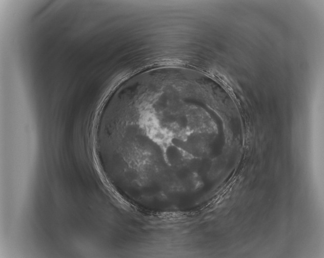 X0000111170145200907011356