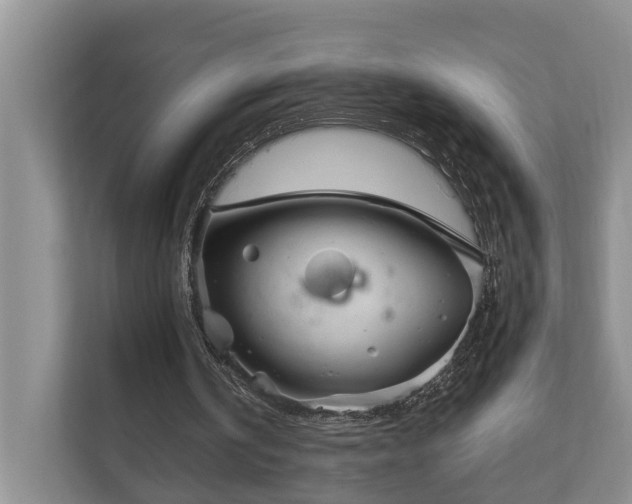 X0000111170146200907011356