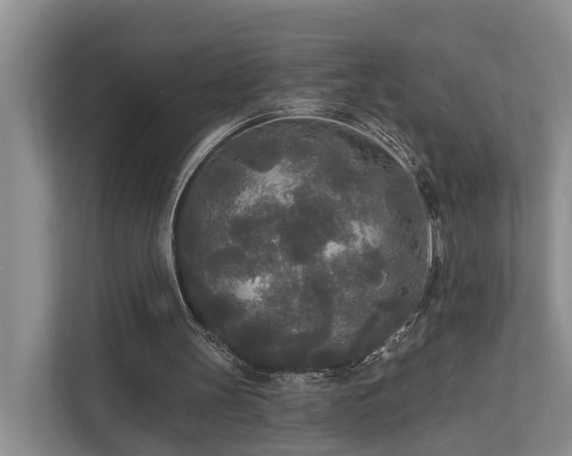 X0000111170147200907011356